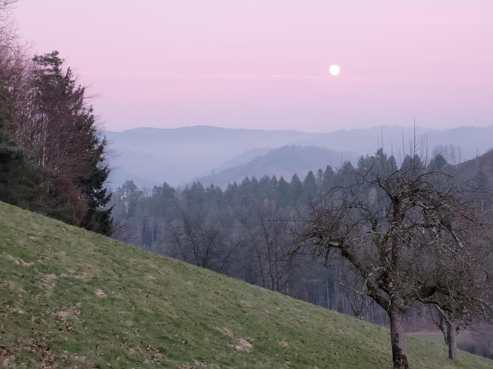 Am Boulevard Gengenbach Bagian luar foto